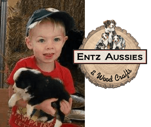 Entz Aussies & Wood Crafts