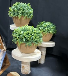 Plant Stand Trio