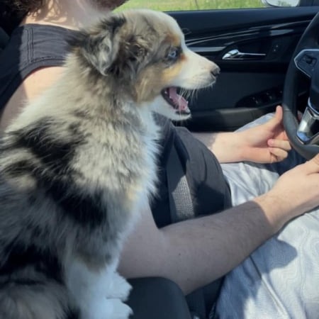 Satisfied Customer